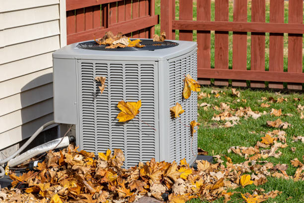 Best HVAC tune-up services  in Wheeler, TX